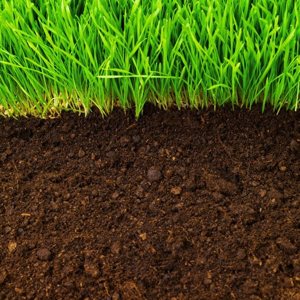 Topsoil Supplier 