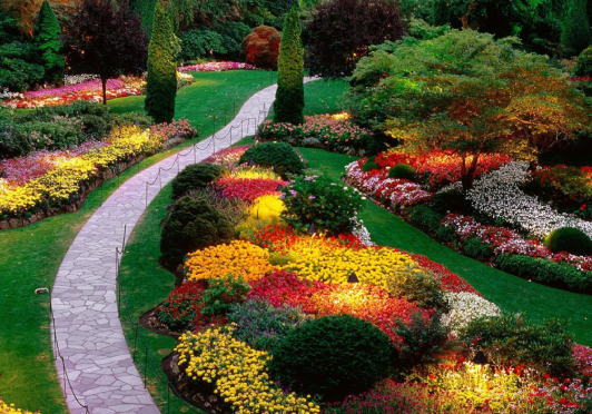 gardening and landscaping
