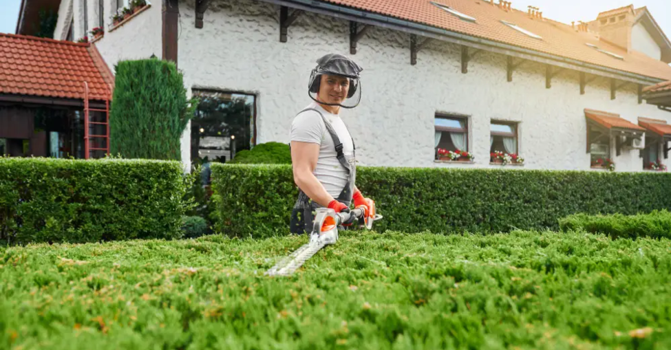 landscape contractors