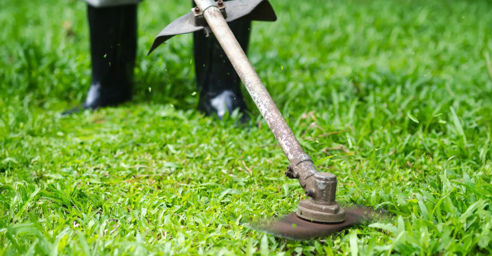 grass cutting