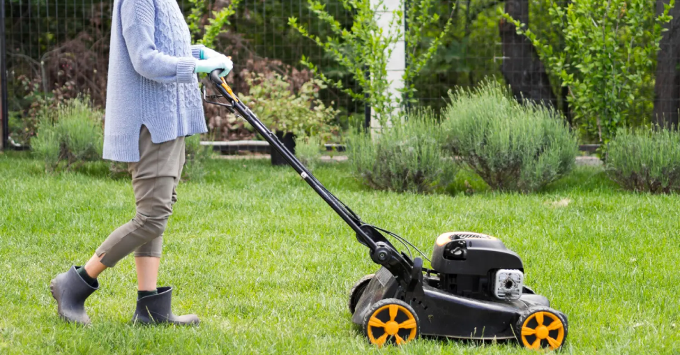 Weeding and moss control