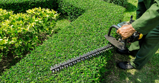 garden maintenance services